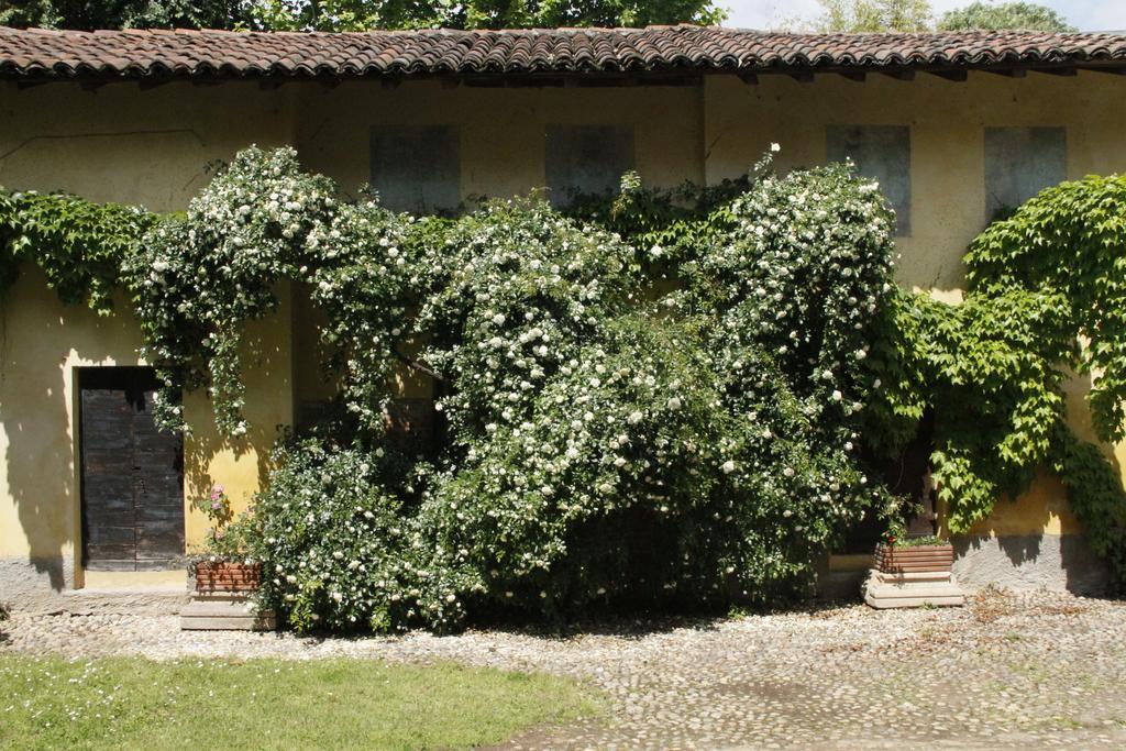 博尔格阿尔基托公寓 Robecco sul Naviglio 外观 照片