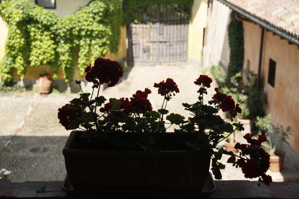 博尔格阿尔基托公寓 Robecco sul Naviglio 外观 照片